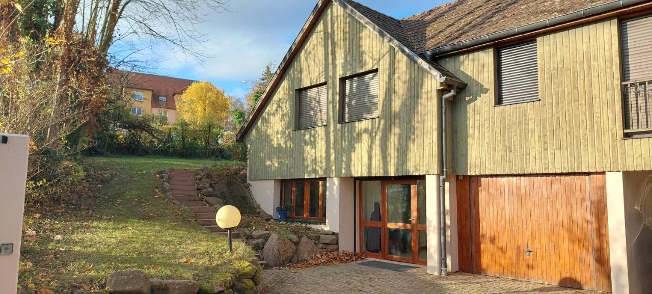 La Canopee Alsacienne - Magnifique Maison A Ribeauville Exterior photo